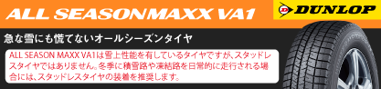 ALL SEASON MAXX VA1 オールシーズンタイヤのブランドイメージ