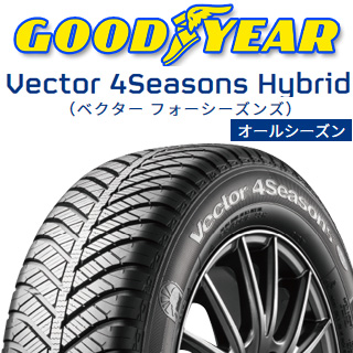 ベクター Vector 4Seasons Hybrid オールシーズンタイヤの商品写真