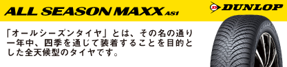 ダンロップ ALL SEASON MAXX AS1 オールシーズンのブランドイメージ