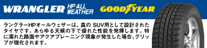 23年製 XL WRANGLER HP ALL WEATHER 並行のブランドイメージ