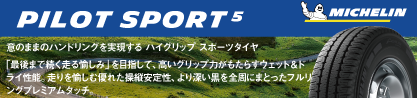 PILOT SPORT5 パイロットスポーツ5 (89Y) XL 正規のブランドイメージ